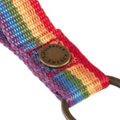 FJÄLLRÄVEN Kånken Rainbow Keyring -FJÄLLRÄVEN fjallraven kanken rainbow keyring rainbow pattern 2